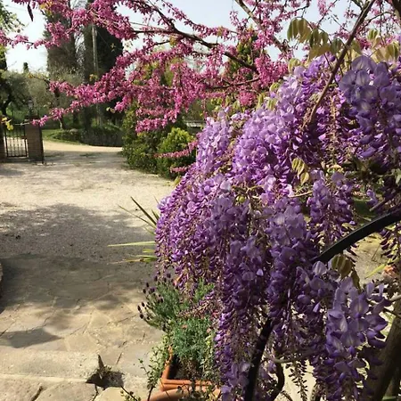 Casa de Férias Holiday Home Via Nazareno Tabarrini - 2 Passignano sul Trasimeno
