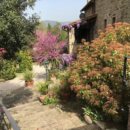 Holiday Home Via Nazareno Tabarrini - 2 Ferienhaus Passignano sul Trasimeno